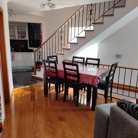 Delfina's House 펜션 *