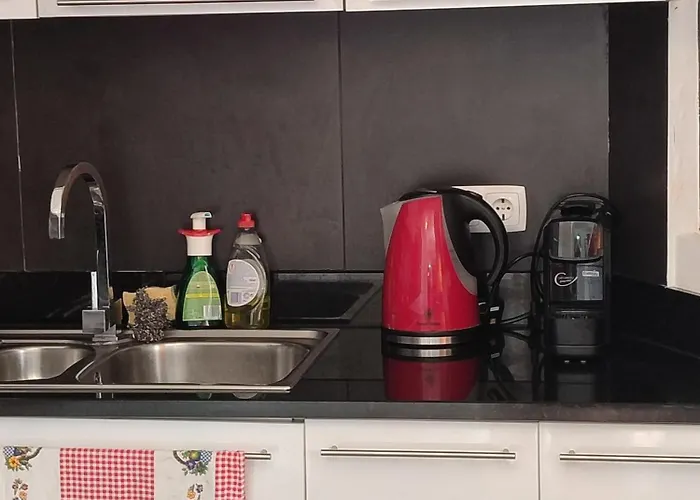 בית נופש Delfina's House *